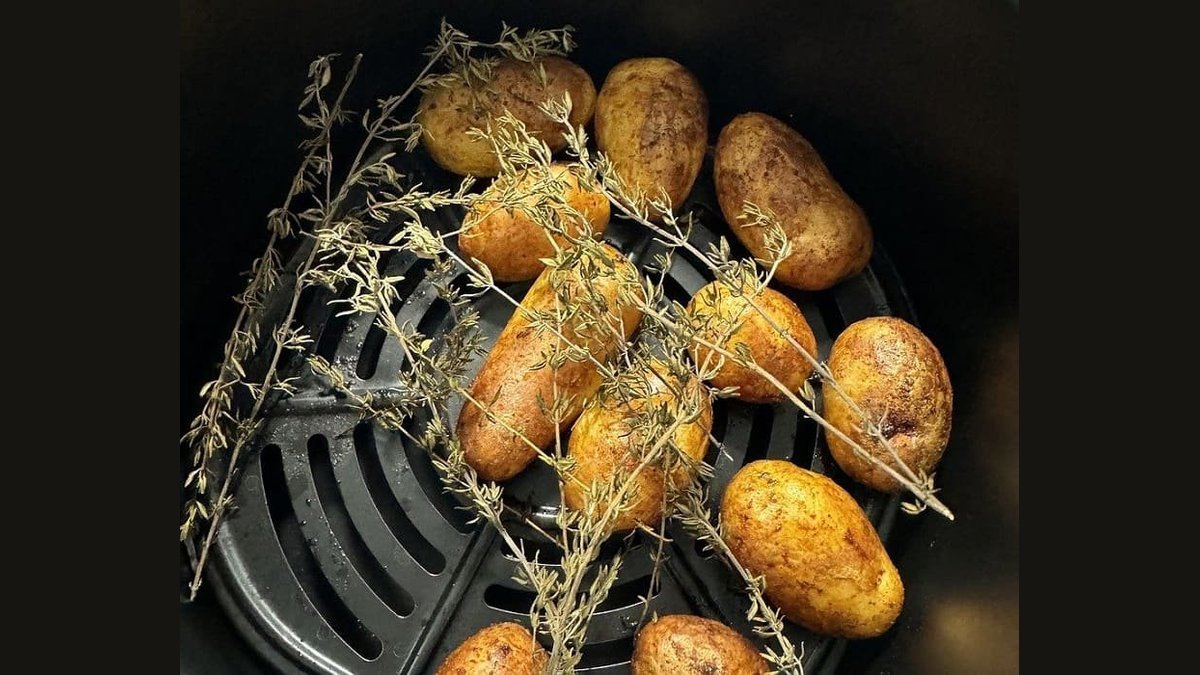 Are Air Fryers Toxic? What You Need to Know