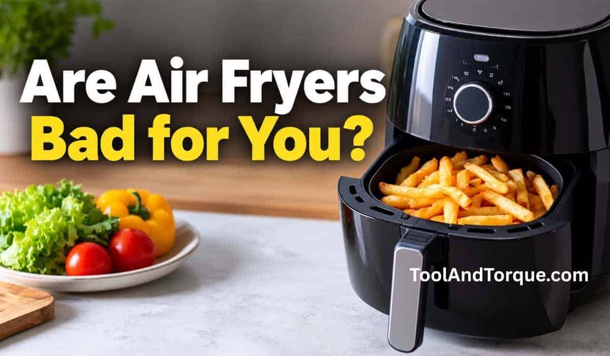 Are Air Fryers Bad for You? What to Know